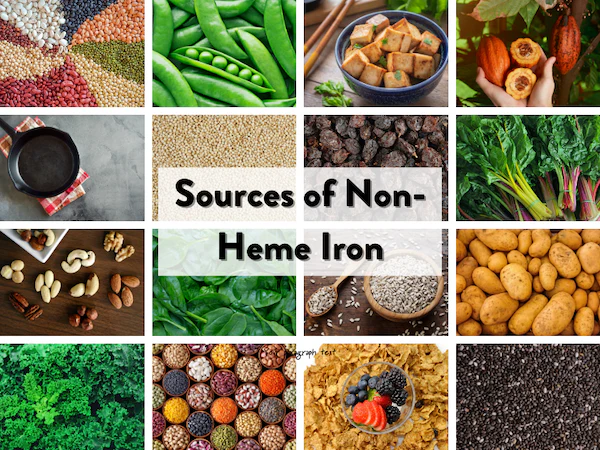 Best Plant based iron sources